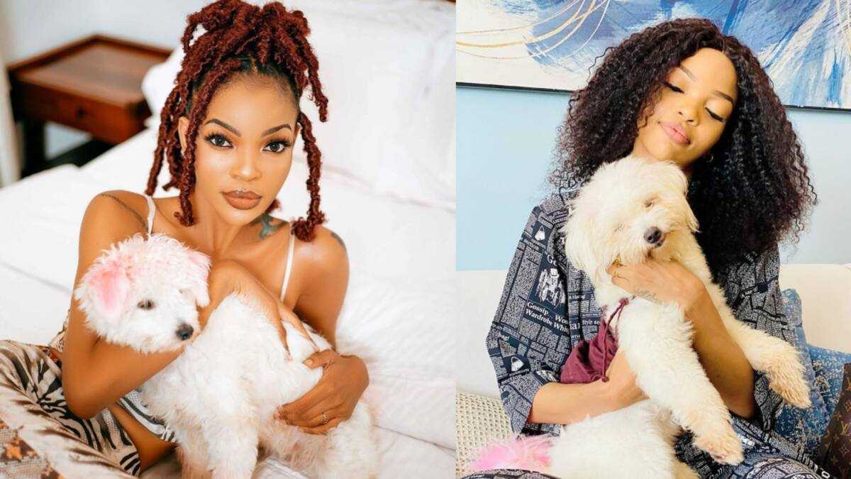 Wema Sepetu yatunguranye akoresha ikiriyo cy'imbwa ye yapfuye